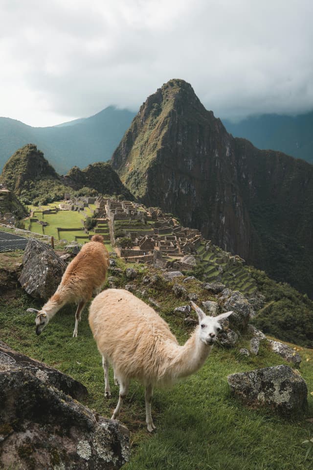 América do Sul - Machu Picchu